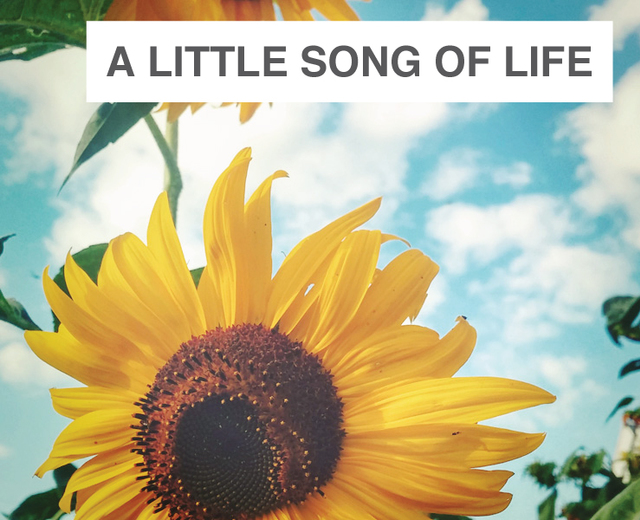 A Little Song of Life | A Little Song of Life| MusicSpoke