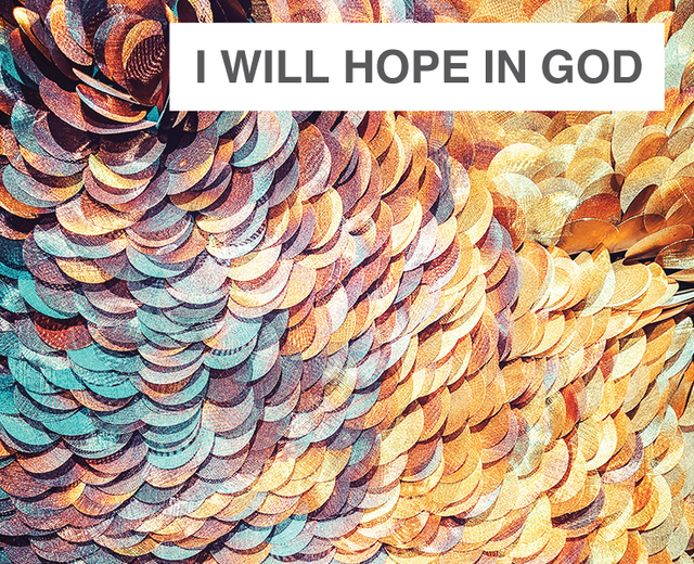 I Will Hope In God | I Will Hope In God| MusicSpoke