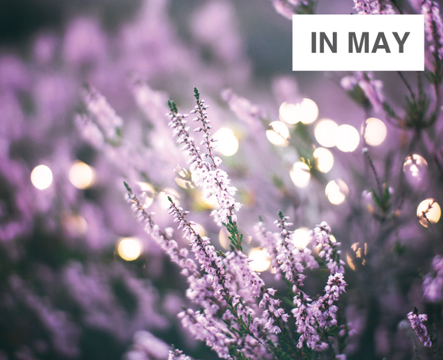 In May | In May| MusicSpoke