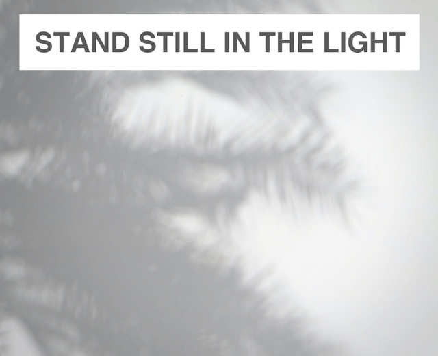 stand still in the light | stand still in the light| MusicSpoke