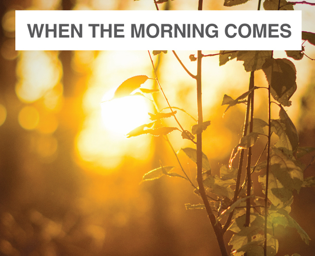 When the Morning Comes | When the Morning Comes| MusicSpoke