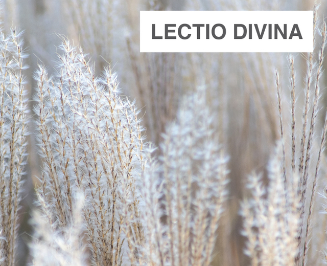 lectio divina | lectio divina| MusicSpoke