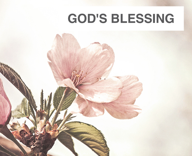 God's Blessing | God's Blessing| MusicSpoke
