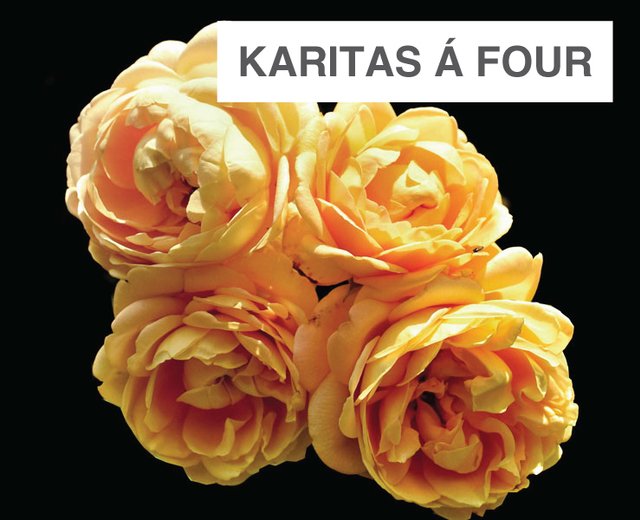 Karitas á Four | Karitas á Four| MusicSpoke