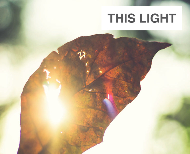 This Light | This Light| MusicSpoke