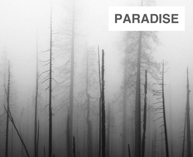 Paradise | Paradise| MusicSpoke