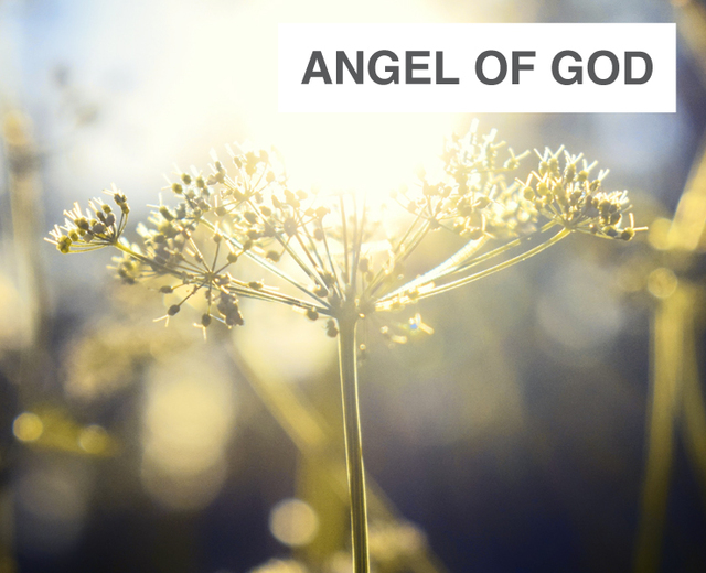 Angel of God | Angel of God| MusicSpoke