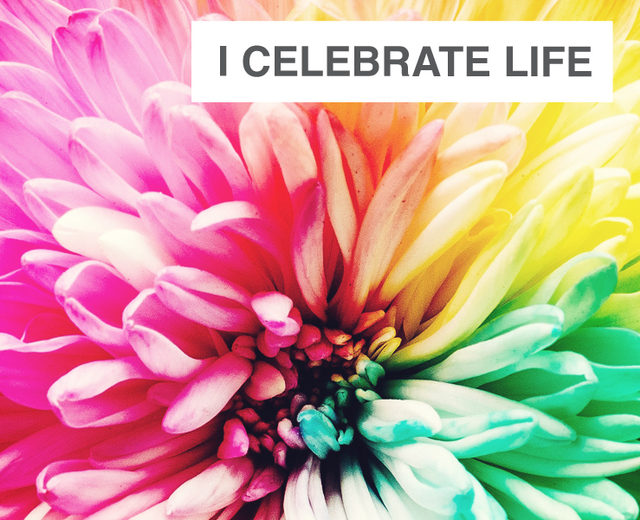 I Celebrate Life | I Celebrate Life| MusicSpoke
