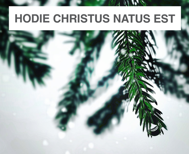 Hodie Christus natus est | Hodie Christus natus est| MusicSpoke