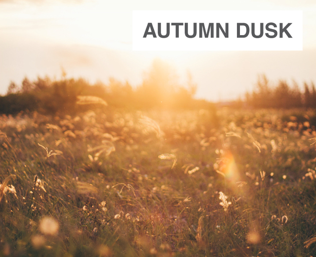 Autumn Dusk | Autumn Dusk| MusicSpoke