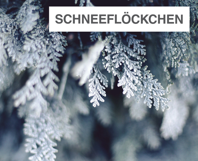 Schneeflöckchen, Weißröckchen | Schneeflöckchen, Weißröckchen| MusicSpoke