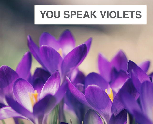 You Speak Violets | You Speak Violets| MusicSpoke