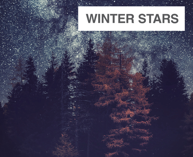 Winter Stars | Winter Stars| MusicSpoke