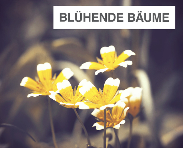 Blühende Bäume | Blühende Bäume| MusicSpoke