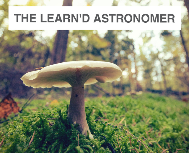 The Learn'd Astronomer | The Learn'd Astronomer| MusicSpoke