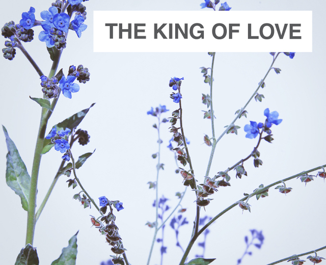 The King of Love My Shepherd Is | The King of Love My Shepherd Is| MusicSpoke