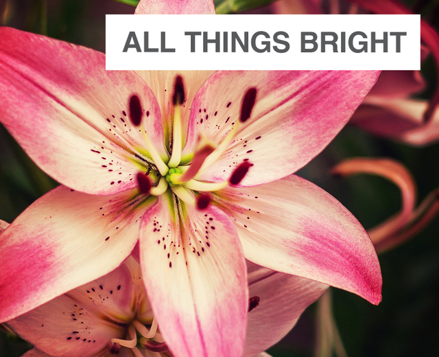 All Things Bright and Beautiful | All Things Bright and Beautiful| MusicSpoke