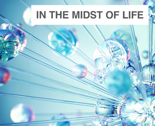 In the Midst of Life | In the Midst of Life| MusicSpoke