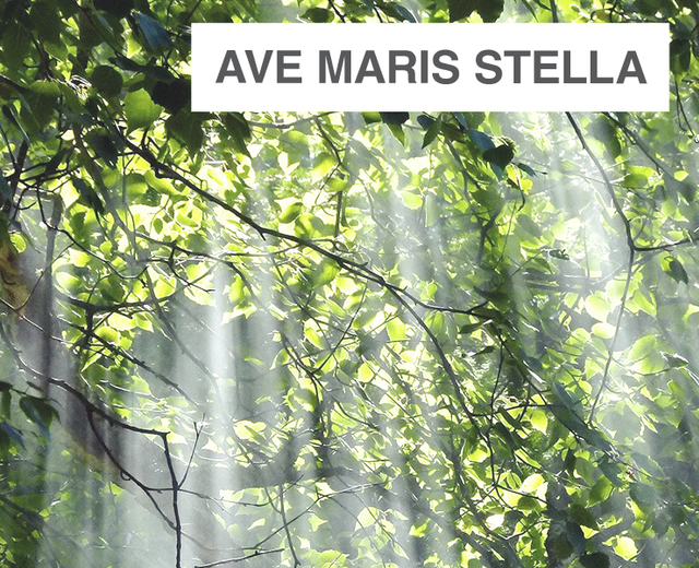 Ave Maris Stella | Ave Maris Stella| MusicSpoke