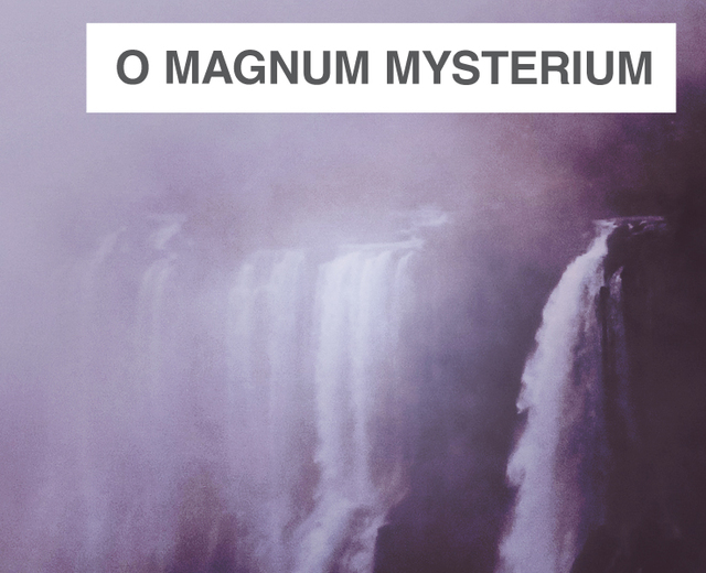 O Magnum Mysterium | O Magnum Mysterium| MusicSpoke