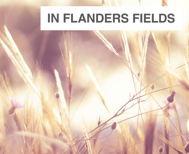 In Flanders Fields | In Flanders Fields| MusicSpoke