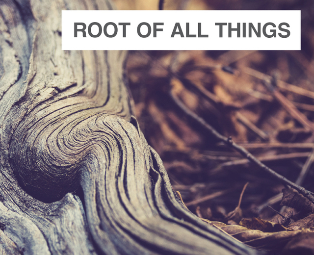 Root of All Things | Root of All Things| MusicSpoke