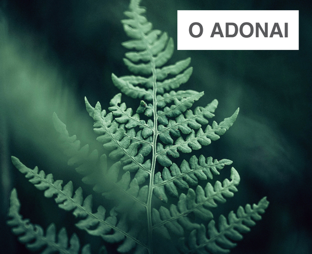 O Adonai | O Adonai| MusicSpoke