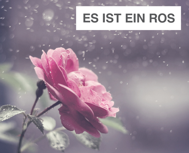 Es ist ein Ros entsprungen | Es ist ein Ros entsprungen| MusicSpoke