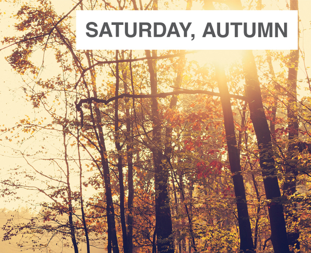 Saturday, Autumn, Ravishing Light | Saturday, Autumn, Ravishing Light| MusicSpoke