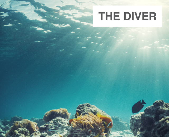 The Diver | The Diver| MusicSpoke