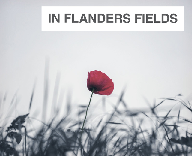 In Flanders Fields | In Flanders Fields| MusicSpoke
