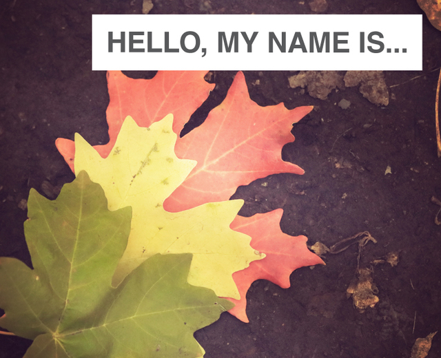 Hello, My Name Is... | Hello, My Name Is...| MusicSpoke