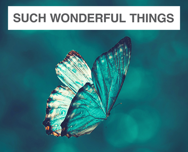 Such Wonderful Things | Such Wonderful Things| MusicSpoke