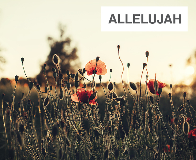 Allelujah | Allelujah| MusicSpoke