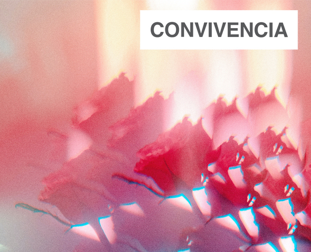 Convivencia | Convivencia| MusicSpoke