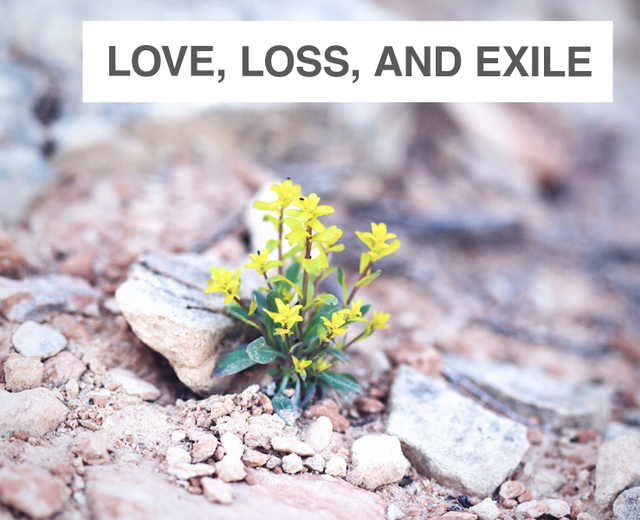 Love, Loss and Exile | Love, Loss and Exile| MusicSpoke