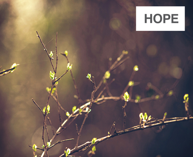 Hope | Hope| MusicSpoke