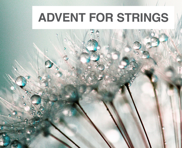 Advent for Strings: A Setting of PICARDY and VENI, VENI EMMANUEL | Advent for Strings: A Setting of PICARDY and VENI, VENI EMMANUEL| MusicSpoke