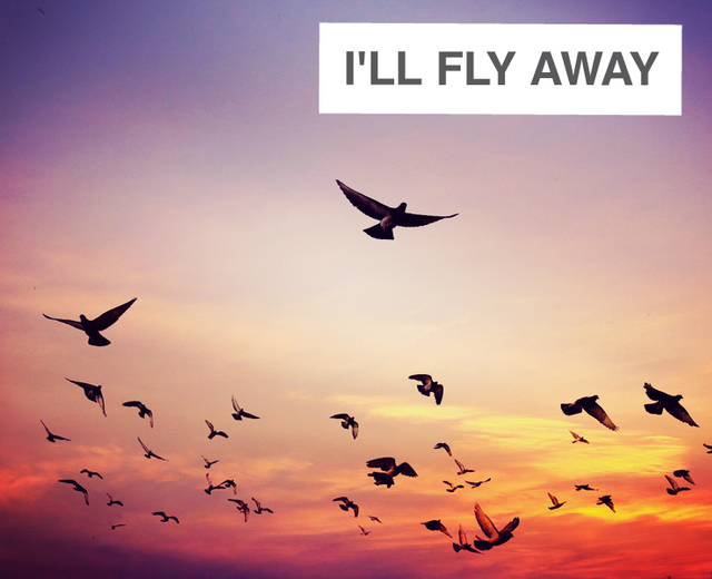 I'll Fly Away | I'll Fly Away| MusicSpoke