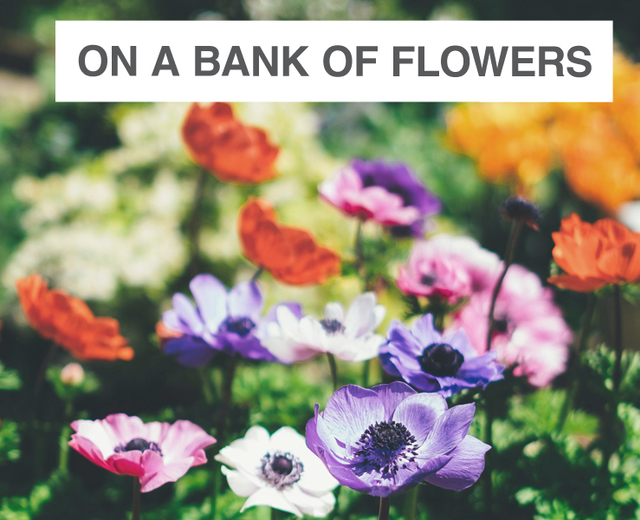 On a Bank of Flowers | On a Bank of Flowers| MusicSpoke