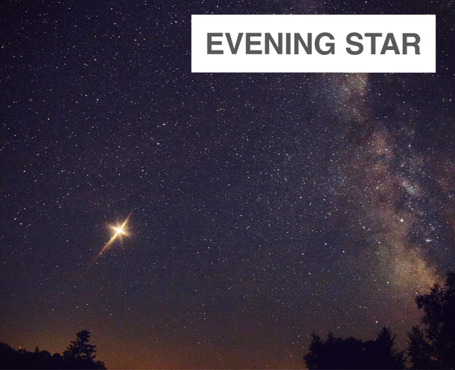 Evening Star | Evening Star| MusicSpoke