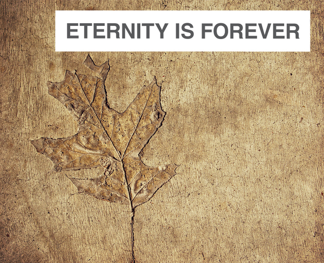 Eternity is Forever | Eternity is Forever| MusicSpoke