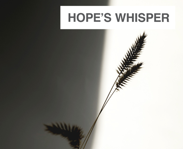 Hope's Whisper | Hope's Whisper| MusicSpoke