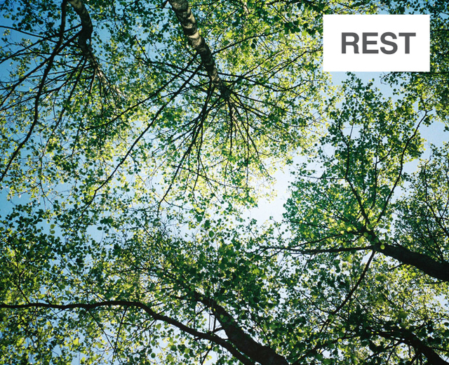 Rest | Rest| MusicSpoke