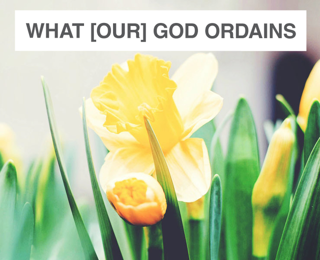What [Our] God Ordains is Good Indeed (Of the Father's Love Begotten) | What [Our] God Ordains is Good Indeed (Of the Father's Love Begotten)| MusicSpoke