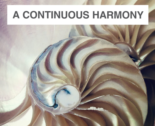 A Continuous Harmony | A Continuous Harmony| MusicSpoke
