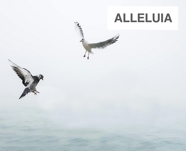 Alleluia | Alleluia| MusicSpoke