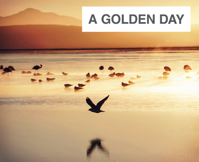 A Golden Day | A Golden Day| MusicSpoke