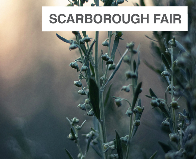 Scarborough Fair | Scarborough Fair| MusicSpoke
