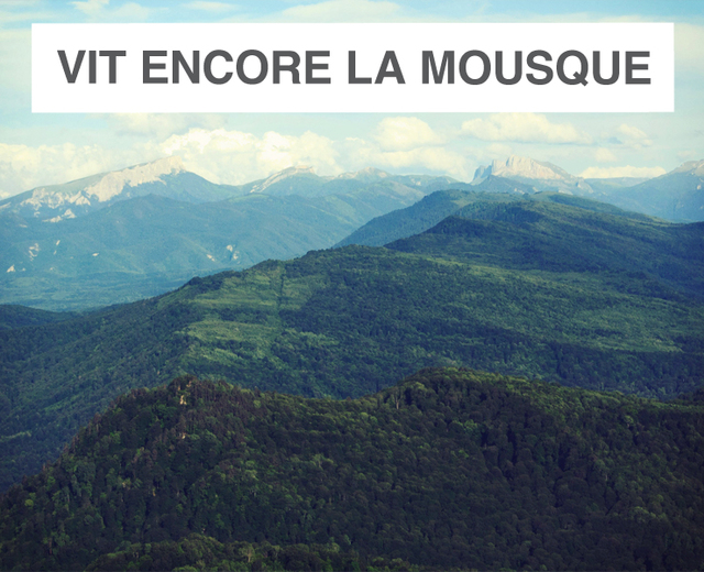 Vit encore la mousque, quel plaisir! | Vit encore la mousque, quel plaisir!| MusicSpoke